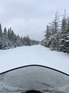 best snowmobiling in newfoundland is in Main Brook, NL