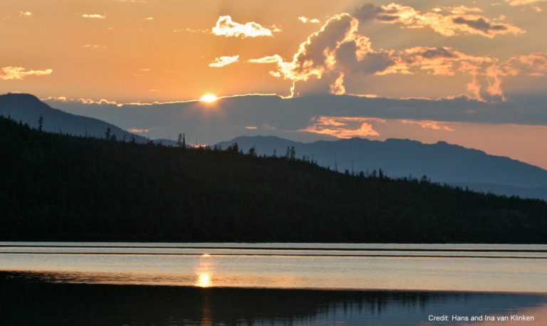 Contact Town of Main Brook