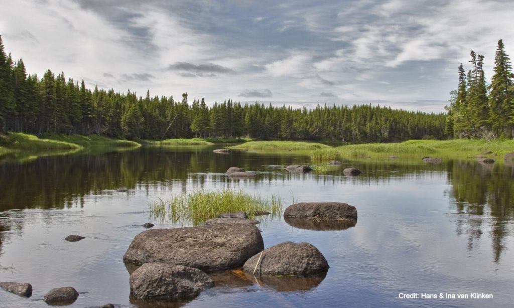 Town Council Town of Main Brook